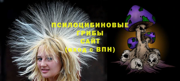 винт Баксан