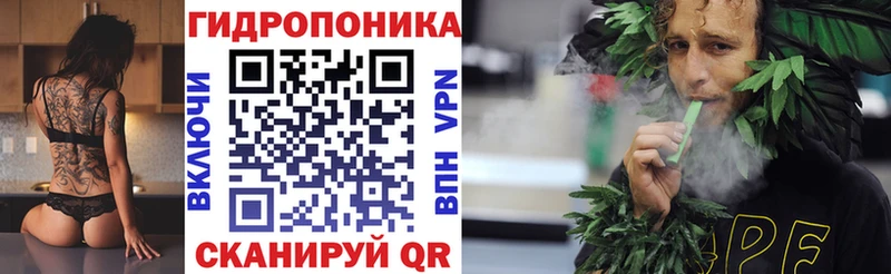 цены наркотик  Магас  Бошки марихуана индика 